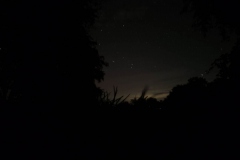 20241007_000724_resized