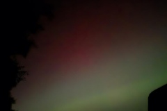 20241010_210715_resized