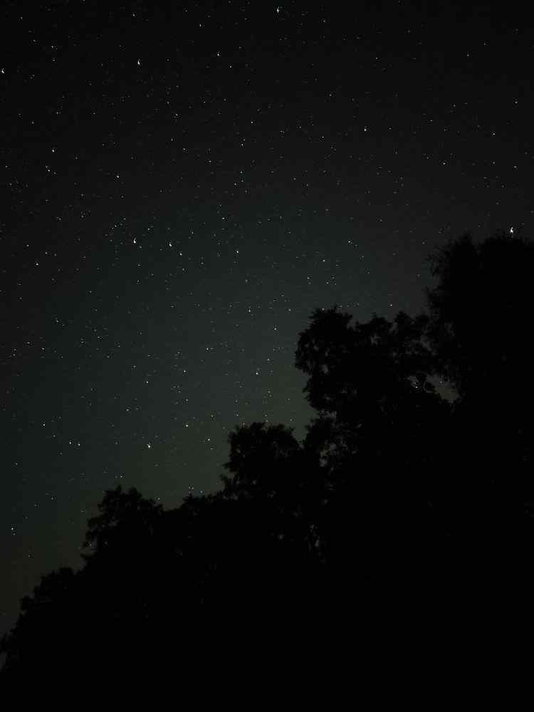 20250920_013140_resized