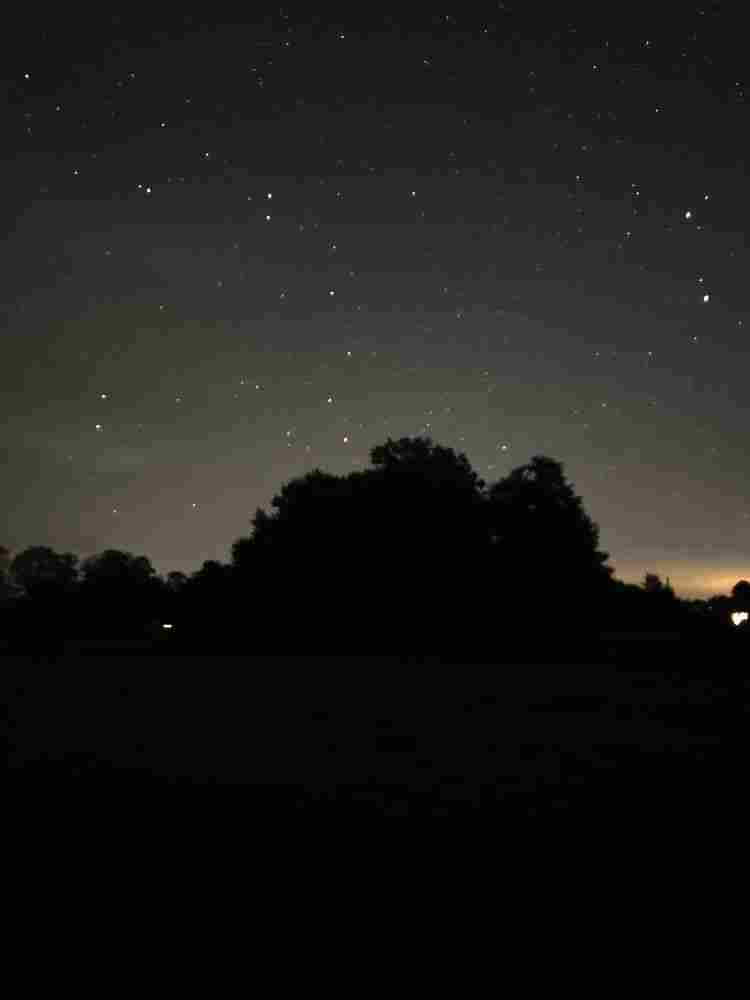 20250922_024248_resized