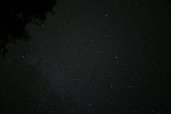 20250920_013006_resized