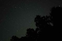 20250920_013140_resized