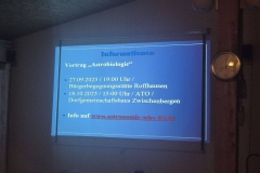 20250920_214110_resized