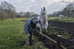 20260321_161649_resized