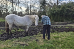 20260321_164541_resized