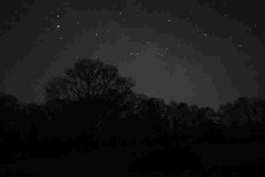 20260322_043814_resized